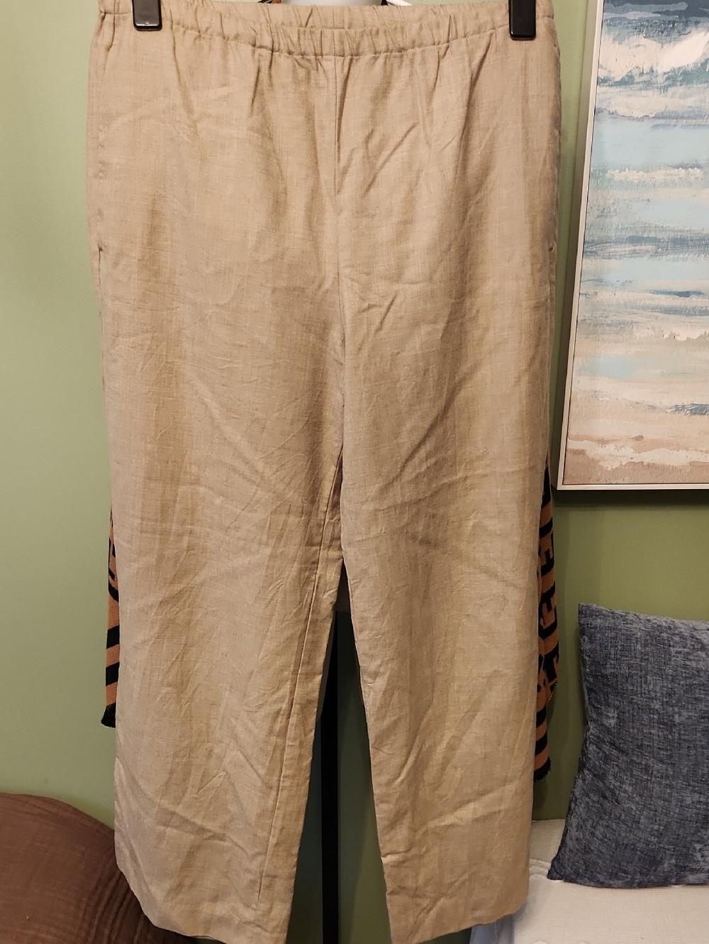 Banana Republic Tan Wide-Leg Lightweight Wool Fabric